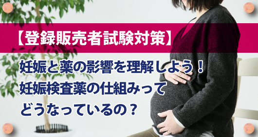 【登録販売者試験対策】妊娠と薬の影響を理解しよう！　妊娠検査薬の仕組みってどうなっているの？